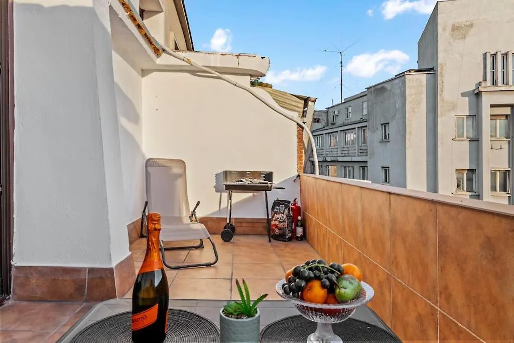 Central Penthouse Studio With Bbq & Jacuzzi Apartment Bucharest