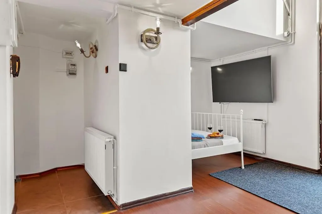 Central Penthouse Studio With Bbq & Jacuzzi Apartment Bucharest