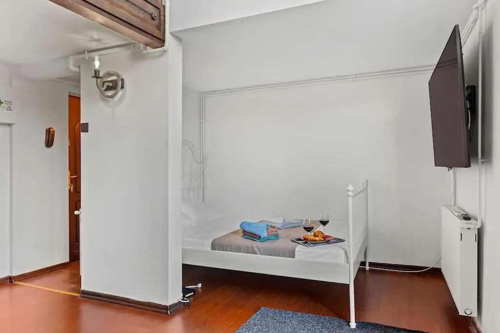 Central Penthouse Studio With Bbq & Jacuzzi Apartment Bucharest