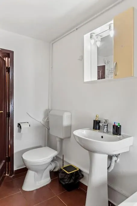 Central Penthouse Studio With Bbq & Jacuzzi Apartment Bucharest Romania